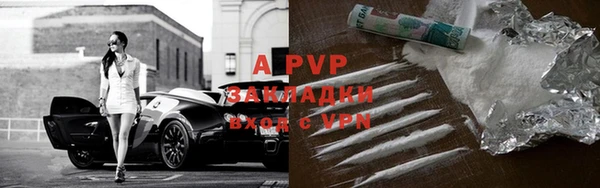 СК Богородицк
