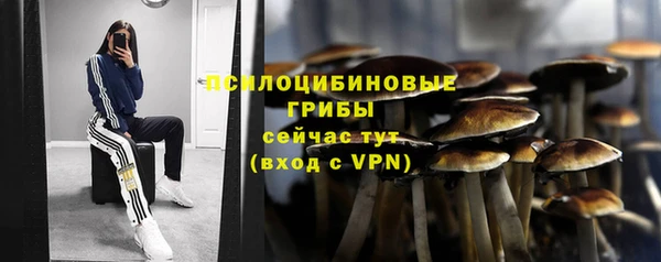 ALPHA-PVP Богданович