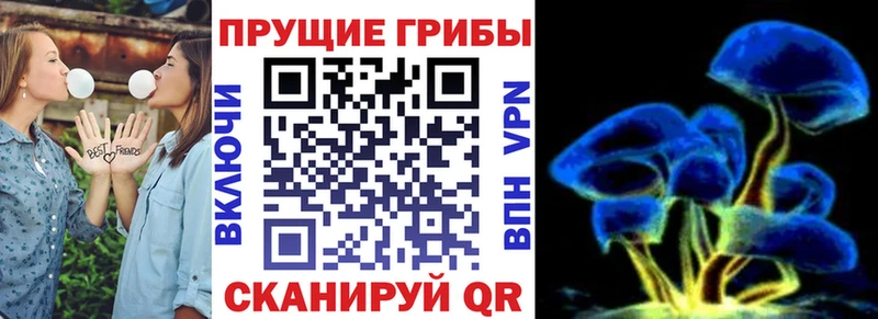 ссылка на мегу зеркало  Миллерово  Галлюциногенные грибы Magic Shrooms 