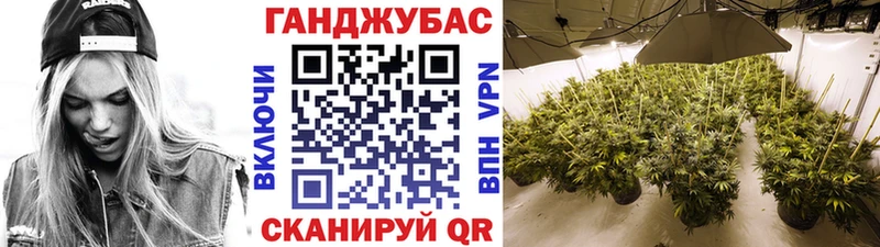 где купить наркоту  Миллерово  МАРИХУАНА марихуана 